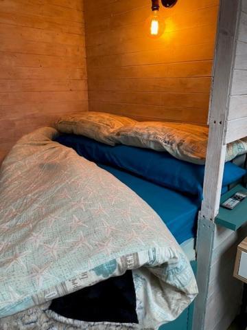 The Old Garage Apartment Saltdean ภายนอก รูปภาพ